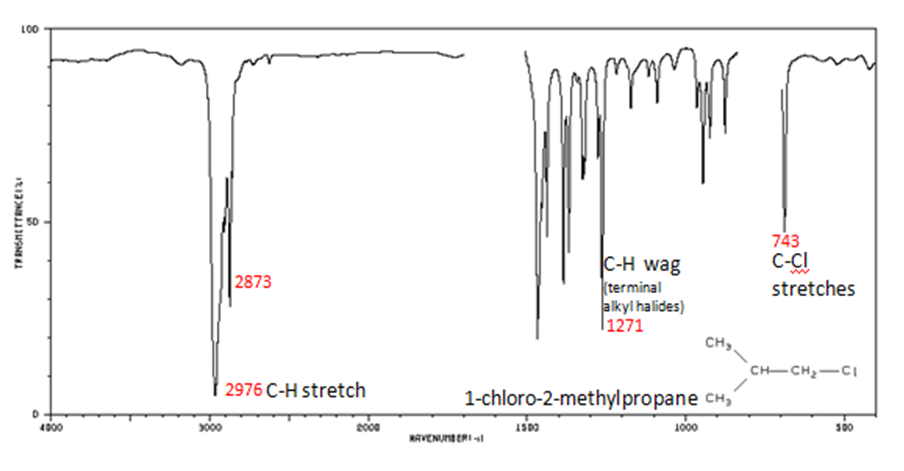 Infrared spectrum of 1-chloro-2-methylpropane with C-Cl stretch at 743 cm-1, C-H wag (terminal alkyl halide) at 1271 cm-1, C-H stretch at 2873 and 2976 cm-1.