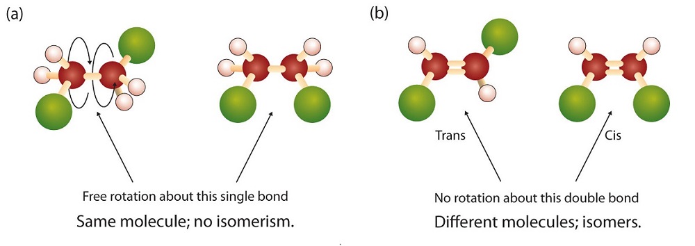 Ball and stick models of 1,2-dichloroethane showing rotation about Bonds. On the left: In 1,2-dichloroethane (a), free rotation about the C–C bond allows the two structures to be interconverted by a twist of one end relative to the other. In 1,2-dichloroethene (b) on the right, restricted rotation about the double bond means that the relative positions of substituent groups above or below the double bond are significant.