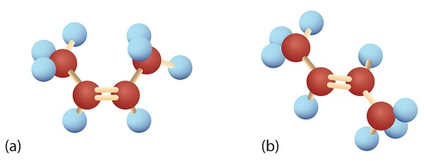 Ball-and-Spring Models of (a) Cis-2-Butene (on the left) showing the carbons on either side of the double bond facing upwards and (b) Trans-2-Butene (on the right) showing the carbons on either side of the double bond in opposite directions (one is facing up and the other is facing down).