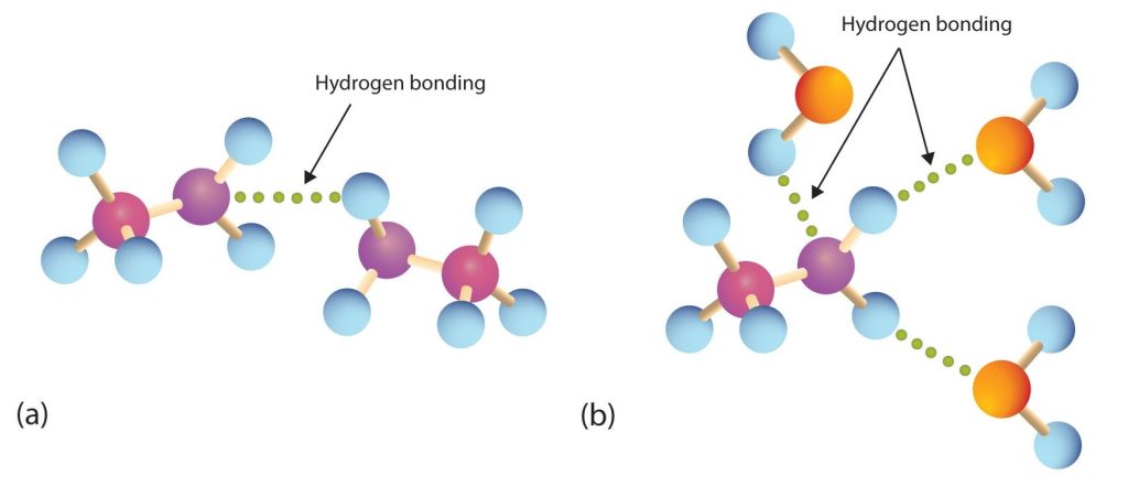 Diagram (a) below shows a 3D molecule of an amine forming hydrogen bonds with another amine. Diagram (b) shows that an amine can also form hydrogen bonds with water molecules.