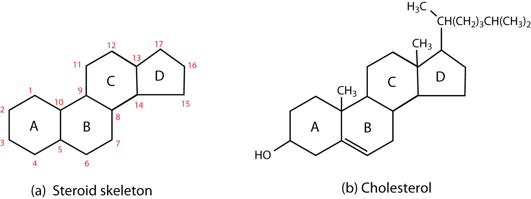 Structures of a) a steroid skeleton and b) cholesterol