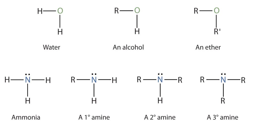 Each individual compound represents a different molecule or organic compound. The first one represents water (2 hydrogen, 1 oxygen). The second represents an alcohol with a hydroxyl group (OH). The third represents an ether with an O bonded to 2 carbons. The bottom row represents Ammonia and then a primary, secondary and tertiary amine. We can see how ammonia is nitrogen with 3 surrounding hydrogens. A primary amine is nitrogen with 1 carbon and 2 hydrogens. A secondary amine is a nitrogen with 2 carbons and 1 hydrogen. Lastly a tertiary amine is a nitrogen with 3 carbons.