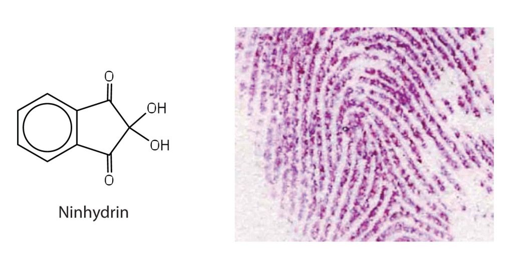 Two images. On the left is the molecular structure of ninhydrin. On the right is an image of a fingerprint.
