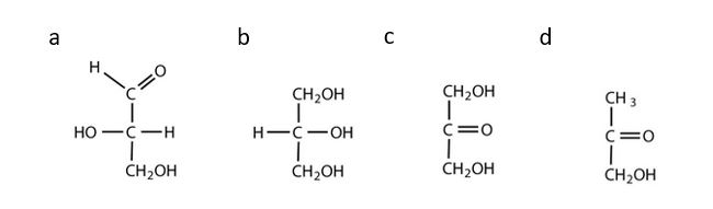 Various structures used to determine which are carbohydrates. a) molecule contains an aldehyde functional group with OH groups on the other two carbon atoms; b) only OH groups present on the molecule; c) molecule contains a ketone functional group with OH groups on the other two carbon atoms; d) this molecule has a ketone functional group, one of the other carbons atoms does not have an OH group attached.