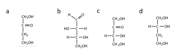 4 structures used to determine whether they represent a carbohydrate. a)molecule has a ketone functional group, one of the other carbons atoms does not have an OH group attached; b) molecule contains an aldehyde functional group with OH groups on the other two carbon atoms; c) molecule contains a ketone functional group with OH groups on the other two carbon atoms; d) molecule only contains OH groups and does not contain an aldehyde group, nor does it contain a ketone group.