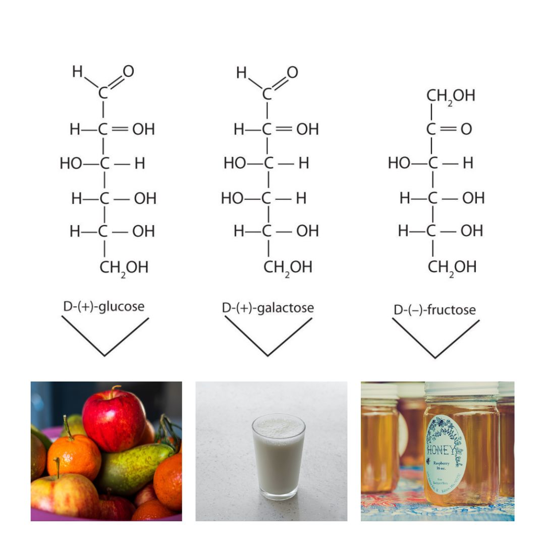 Three structures of hexoses and associated images of where you find them in food. On the left is D-(+)-glucose with an image of fruit, D-(+)-galactose with an image of a glass of milk and D-(-)-fructose with an image of honey.