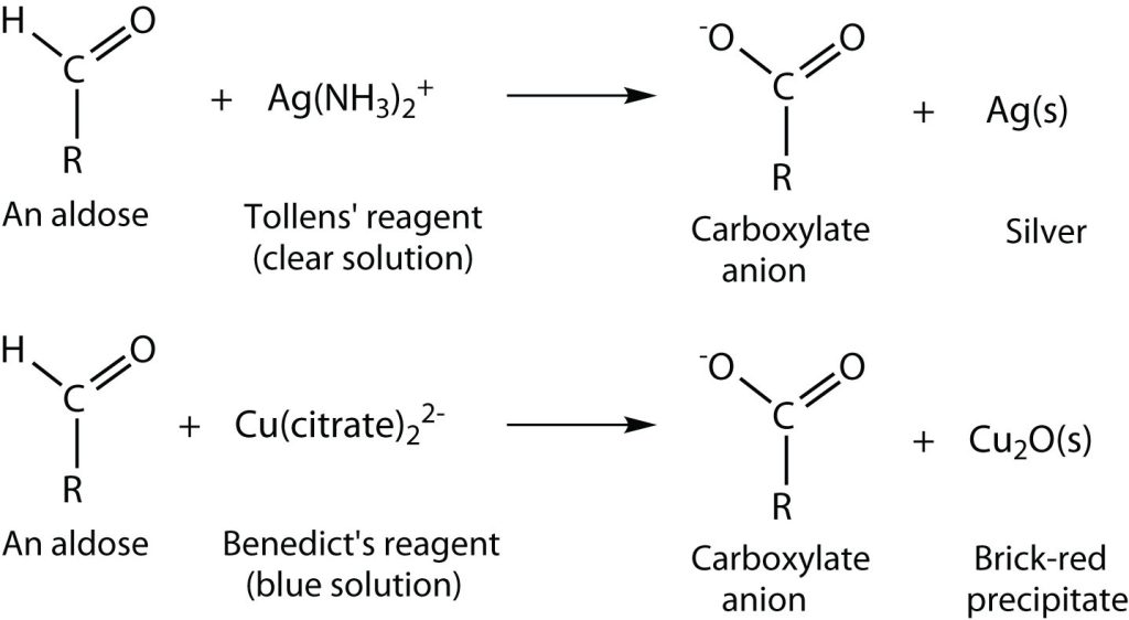 Top: Oxidation of an aldehyde-based compound (an aldose) using the Tollens' reagent to produce carboxylate anion and silver. Bottom: Oxidation of an aldehyde-based compound (an aldose) using the Benedict's reagent to produce carboxylate anion and brick-red precipitate.