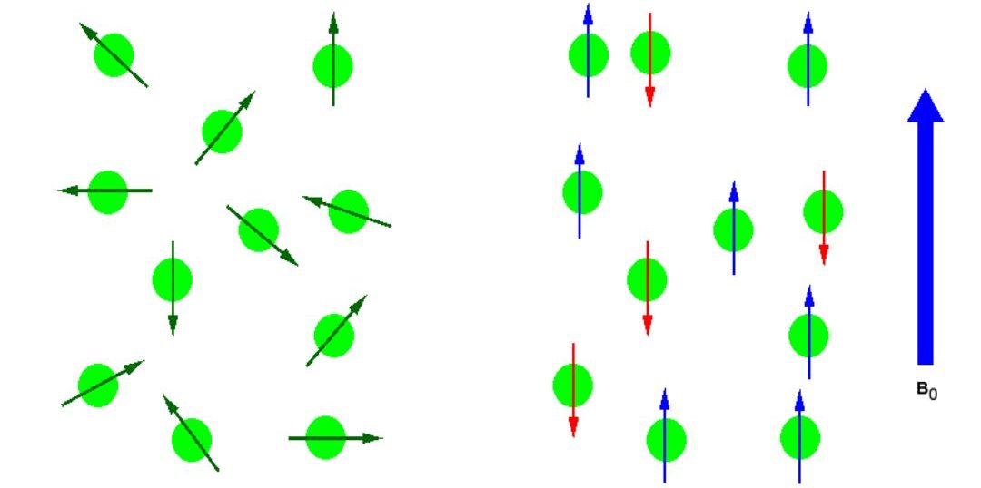 Figure on left shows random nuclear spin and the image on right shows and ordered spin