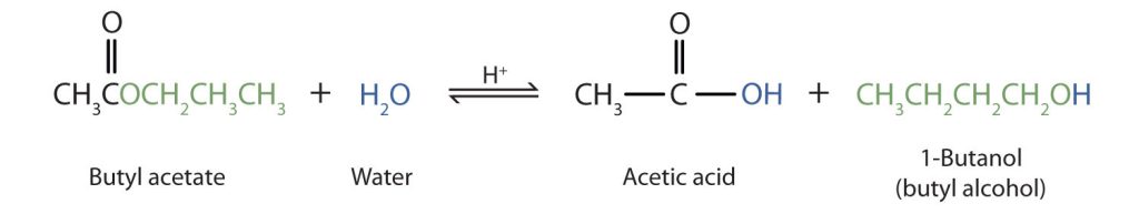 The chemical reaction here shows acidic hydrolysis of butyl acetate. During acidic hydrolysis (splitting of water), we can see that an butyl acetate combines with water to form acetic acid and 1-Butanol. The splitting of water happens and the hydroxyl group from the water (OH) forms the acetic acid while the hydrogen atom forms the 1-Butanol.