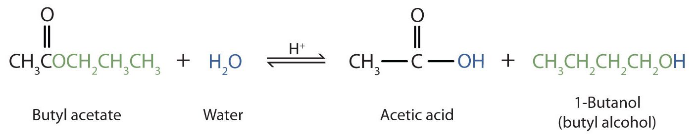 The chemical reaction here shows acidic hydrolysis of butyl acetate. During acidic hydrolysis (splitting of water), we can see that an butyl acetate combines with water to form acetic acid and 1-Butanol. The splitting of water happens and the hydroxyl group from the water (OH) forms the acetic acid while the hydrogen atom forms the 1-Butanol.