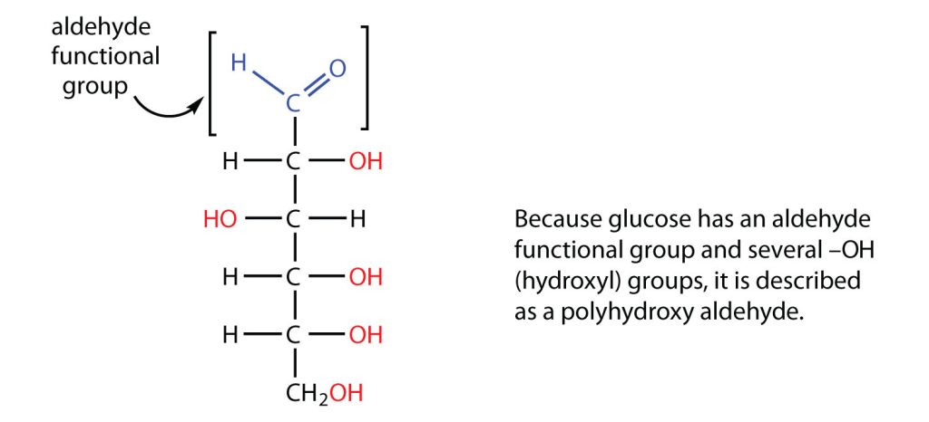 Structure of a common carbohydrate with an aldehyde group at the top along with multiple OH groups along the chain.