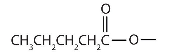 The structural formula for the acid portion of the compound. CH3CH2CH2CH2COO