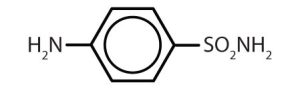 a molecular structure of sulfanilamide