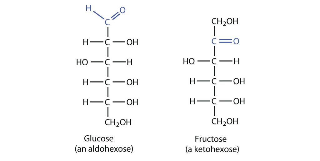 Structures of glucose and fructose.