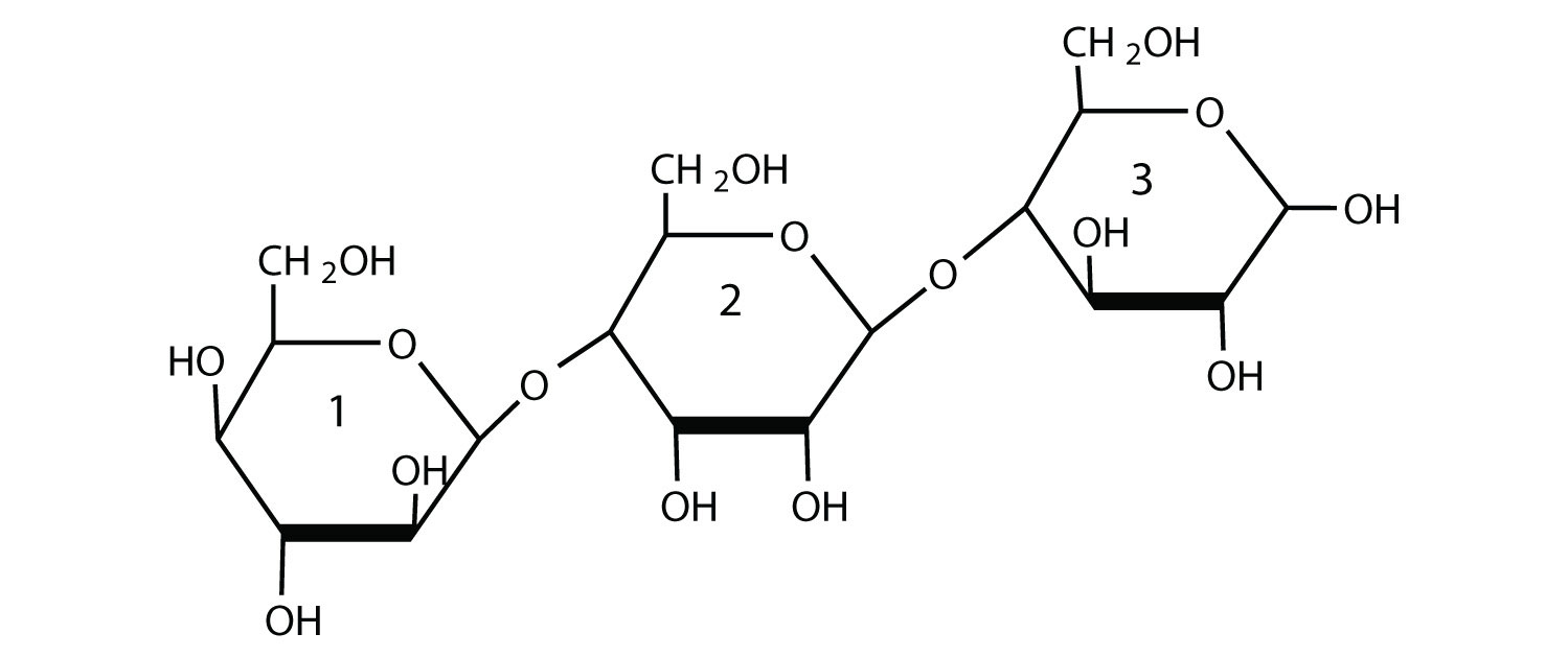 a structure of a trisaccharide