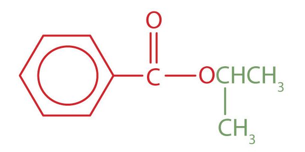 An alkyl group is attached directly to the oxygen atom by it&#039;s middle carbon atom. It is an isopropyl group. The acid portion is benzoate making this compound isopropyl benzoate.