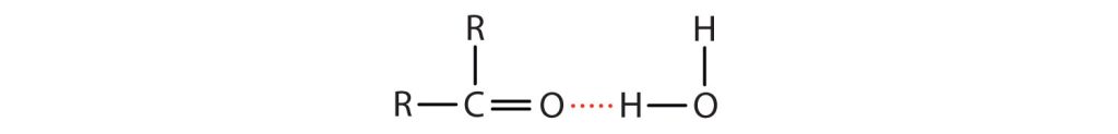 Hydrogen bonding shown in a red dotted line between the oxygen in the carbonyl group of a ketone and the hydrogen of water molecules