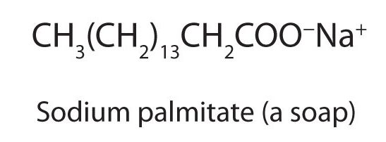 The image shows the condensed structural formula for sodium palmitate which is a soap. This is a long chain carboxylate ion and is positively charged overall.