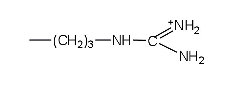 3 amine groups attached to a carbon