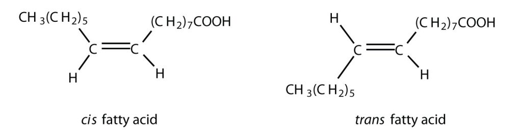 A cis and trans fatty acid. Left: Cis fatty acids have two H atoms on the same side of the plane of the fatty acid. Right: trans fatty acids have the two H atoms on opposite sides