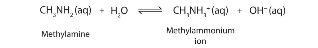 methyl amine reacts with H superscript plus to yield methyl ammonium ion. The methyl amine structure is like ammonia except a C H subscript 3 group is attached in place of the left most H atom in the structure. Similarly, the resulting methyl ammonium ion is represented in brackets with a superscript plus symbol appearing outside. Inside, the structure is similar to that of methyl amine except that an H atom appears at the top of the N atom where the unshared electron pair was previously shown.