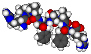 Space-filling model of bradykinin showing components in blue, red, dark grey and white.