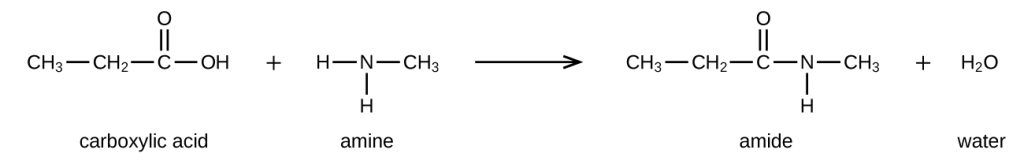 The chemical reaction shows a carboxylic acid (CH3CH2COOH) reacting with an amine (CH3NH2) to form an amide (CH3CH2CONHCH3) and water (H2O).