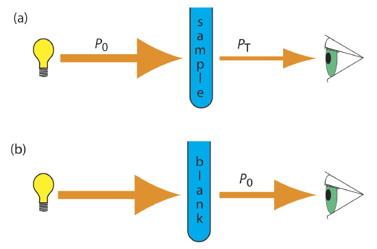 Two diagrams. Top: (a) Schematic diagram showing the attenuation of radiation passing through a sample; P0 is the source’s radiant power and PT is the radiant power transmitted by the sample. Bottom: (b) Schematic diagram showing how we redefine P0 as the radiant power transmitted by the blank. Redefining P0 in this way corrects the transmittance in (a) for the loss of radiation due to scattering, reflection, absorption by the sample’s container, and absorption by the sample’s matrix.