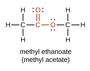 The condensed structural diagram shows the ester methyl ethanoate. The functional group of the ester is highlighted. These include a carbonyl group and another single bonded oxygen. The single bonded oxygen is bonded to another carbon.