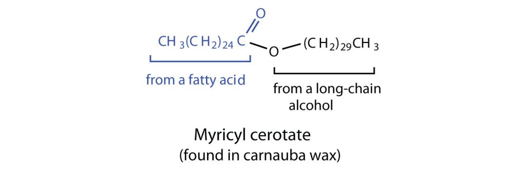 Structure of Myricyl cerotate