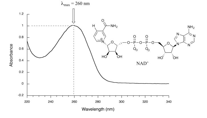 The absorbance spectrum of nicotinamide adenine dinucleotide (NAD+) showing max wavelength at 260 nm.