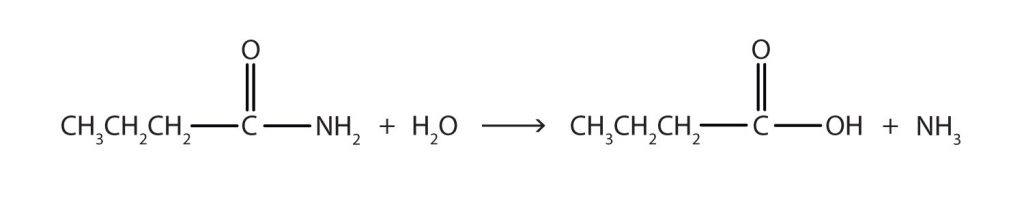 Butyramide (CH3CH2CH2CONH3) and water (H2O) react to form a carboxylic acid, butyric acid, (CH3CH2CH2COOH) and ammonia (NH3).