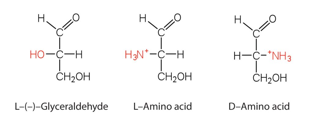 3 structures from left to right: L-(-)-glyceraldehyde, L-amino acid and D-amino acid.