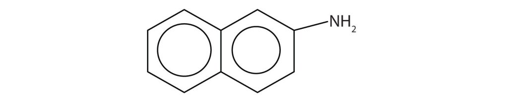 Two heterocyclic carbon rings attached to one another with an amino group (NH2) off of one of the carbon atoms in the ring.