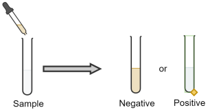 An example of a bromine test. A pipette drops bromine into a test tube. If the results is positive result the test tube sample remains colourless; if negative result turns the sample a brownish-red colour.