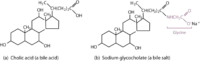 Structures of cholic acid (on the left) and sodium glycocholate (on the right).