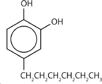 The structure of 4-hexylresorcinol which shows a phenol with an additional OH group at C2 in the ring and a hexyl group at C6 in the ring