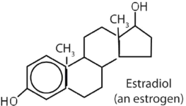 Estradiol (an estrogen)