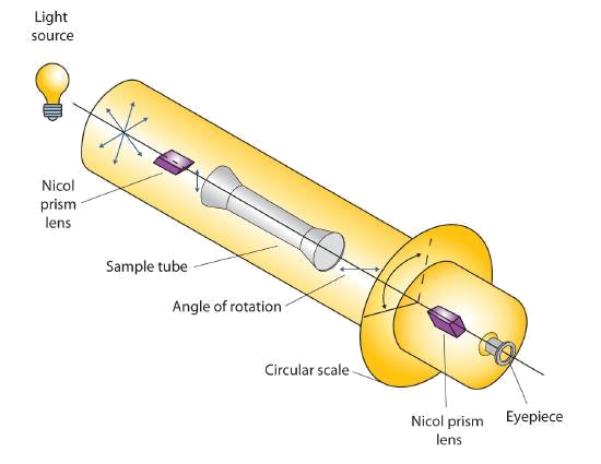 A diagram of a Polarimeter is shown where you have the light source shining into the long Polarimeter tube. The light passes through the nicol prism lens, a sample tube, a circular scale, another nicol prism lens and an eye piece.