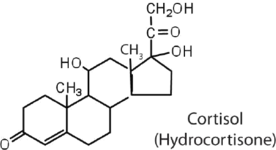 Cortisol (Hydrocortisone)
