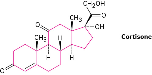 Cortisone is shown as four substituted rings (represented in pink) joined together. There are three cyclohexanes and one cyclopentane