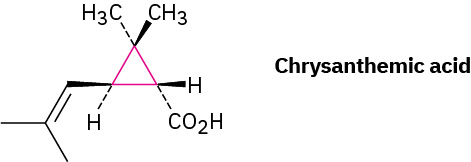 Chrysanthemic acid is shown as a line structure. It is a type of substituted cyclopropane (represented in pink lines). On the left side of the cyclopropane is an alkene branched side chain and the right side is a carboxylic acid functional group.
