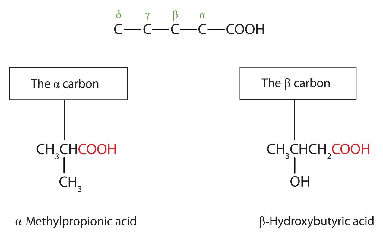 The image shows two examples of Greek lettering to outline positioning of substituent groups on the parent chain. The two examples provided are alpha-methylpropionic acid and beta-hydroxybutyric acid.