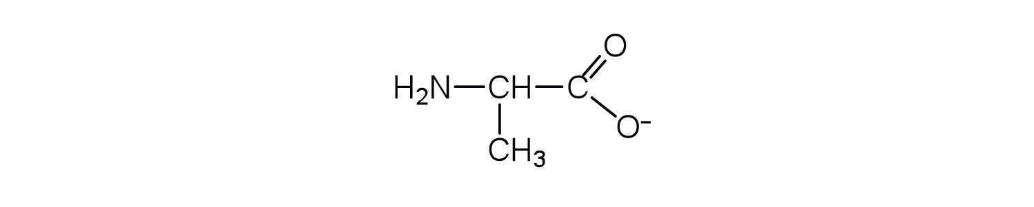 CH centered around a positive amine group, a methyl group and a COO- group
