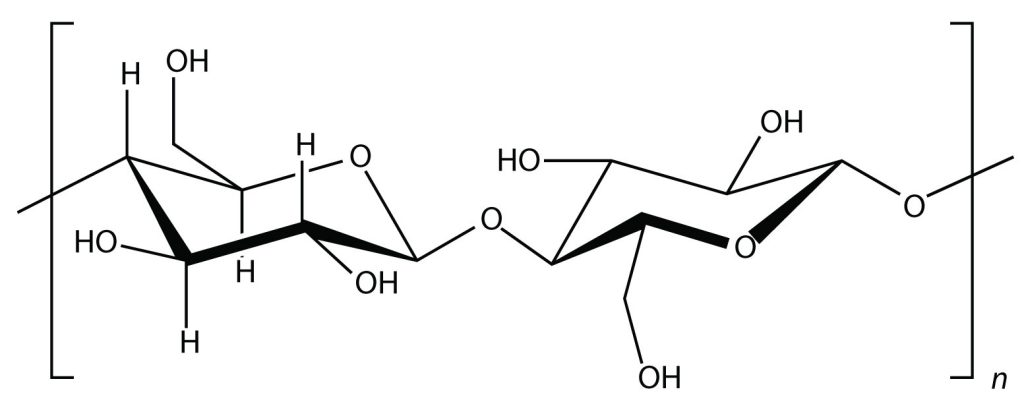 The general structural formula of cellulose. There are two repeating units of glucose (each in the chair formation) connected by an oxygen bond to represent the polymer structure of cellulose contained with square brackets and a subscript n