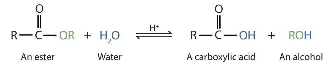 The chemical reaction here shows acidic hydrolysis which is the reverse reaction of esterification (production of an ester). During acidic hydrolysis (splitting of water), we can see that an ester combines with water to form a carboxylic acid and an alcohol. The splitting of water happens and the hydroxyl group from the water (OH) forms the carboxylic acid while the hydrogen atom forms the alcohol.