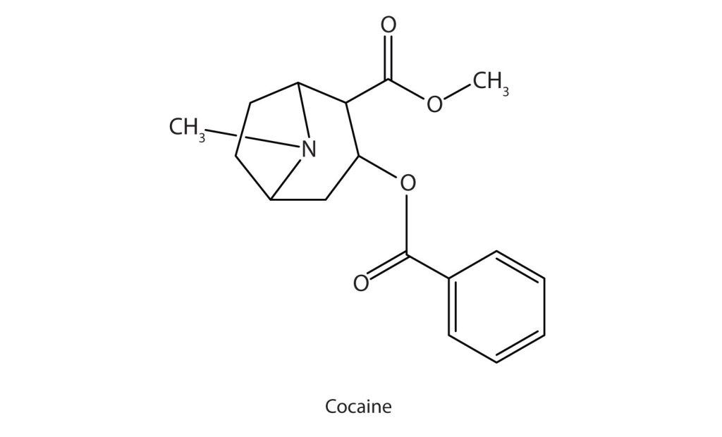 Chemical structure for cocaine. Contains two heterocyclic rings.