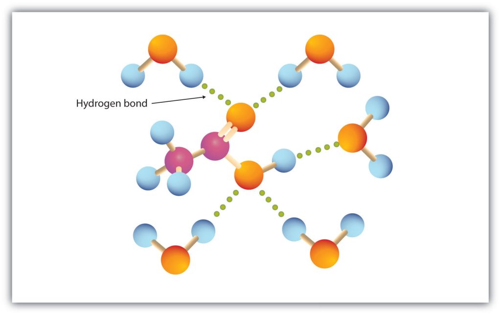 Image shows three-dimensional model of hydrogen bonds between water molecules (orange and blue in colour) and the carboxyl group of a carboxylic acid (pink and blue in colour).