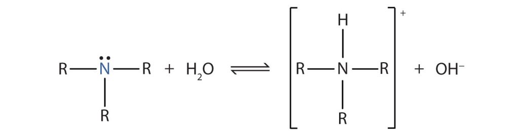 Two reactions are shown. In the reactions shown, ammonia reacts with water. An unshared pair of electron dots sits above the N atom. To the left, right, and bottom, H atoms are bonded. This is followed by a plus symbol and an H atom with a subscript two and an O atom. To the right of the reaction arrow, ammonium ion is shown in brackets with a superscript plus symbol outside. Inside the brackets, the N atom is shown with H atoms bonded on all four sides.