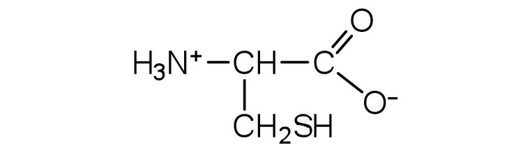 CH is centered around a positive amine group, methyl thiol group and a COO- group.
